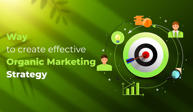 effective organic marketing strategy